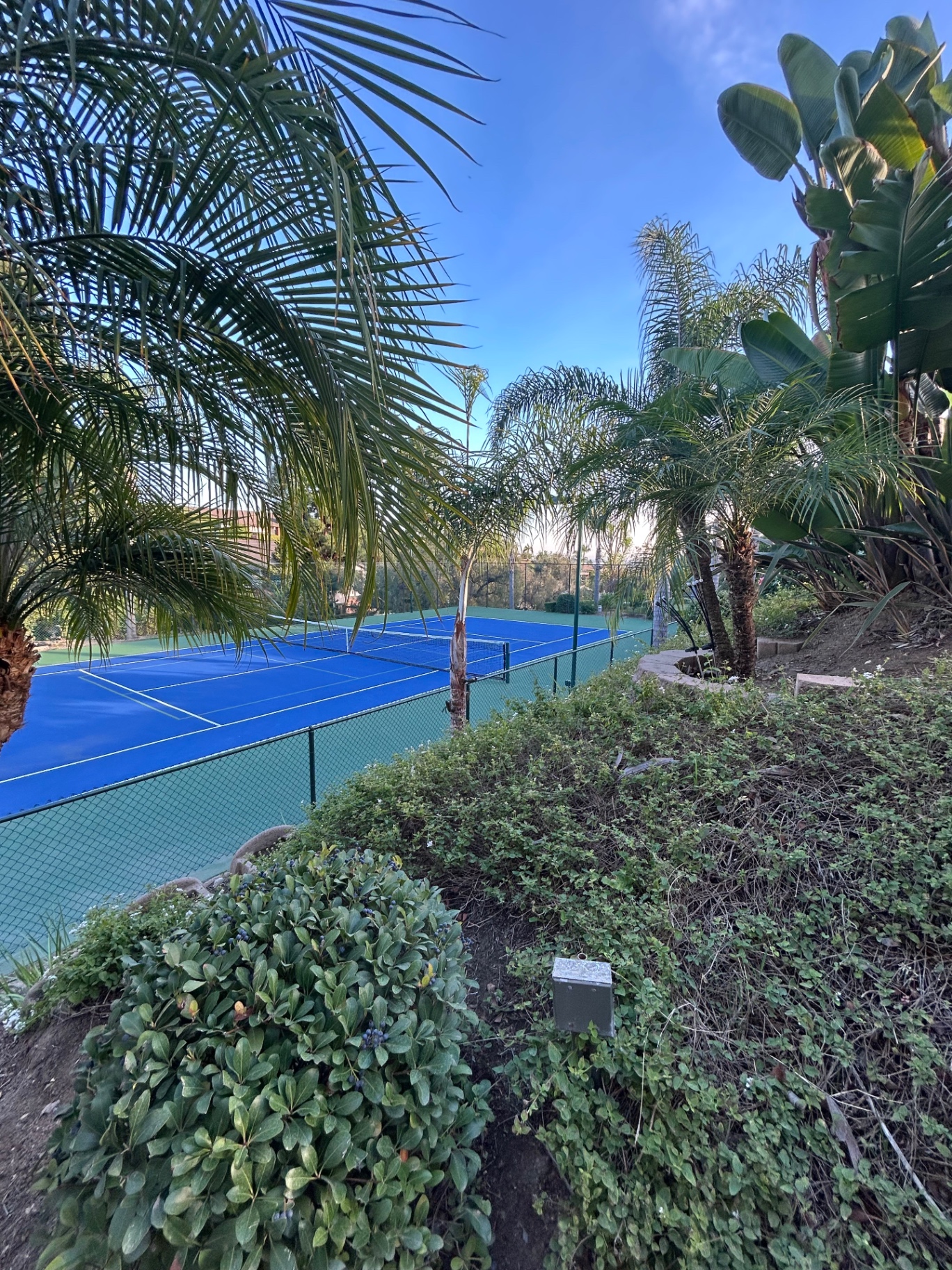 Tropical Tennis Estate — Southern California